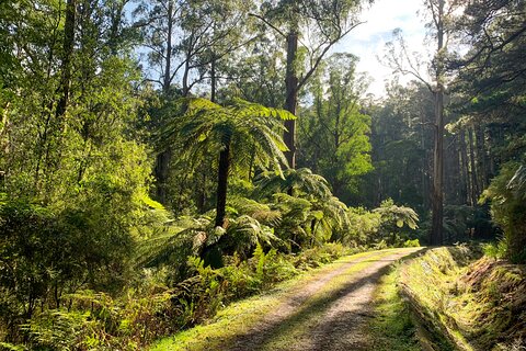 Image of Yarra Valley